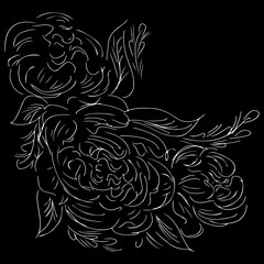 Realistic peonies outline hand for decorative design. Peonies outline hand in engraved style on black background. Isolated vector illustration. Realistic vector illustration. Floral ink pen sketch