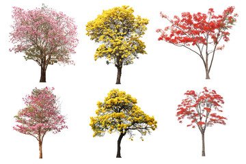 The collection set of isolated yellow, pink and red flower tree in spring and summer season for...
