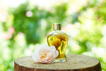 perfume bottle or oil on natural wooden background, copy space, mock-up