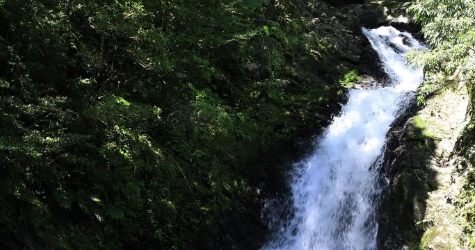 Materiya waterfall in the green forest in Amami oshima Kagoshima sunny day tilt