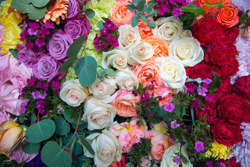 Gigantic wall of roses and flowers in white, orange, purple and more colors