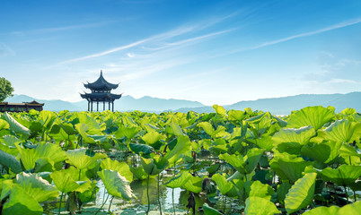 China Hangzhou West Lake Landscape