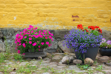 Fototapete bei efototapeten.de bestellen   