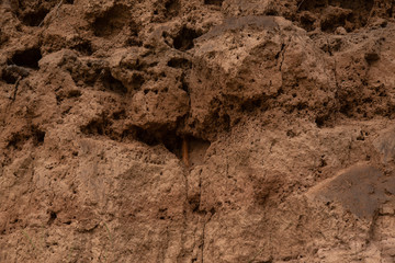 anthill in the rock with empty tunnels