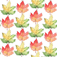 Watercolor seamless pattern autumn floral. Hand draw leaves design elements.