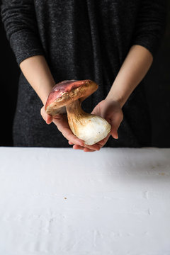 Big mushroom with fleshy hat and large trunk in hands