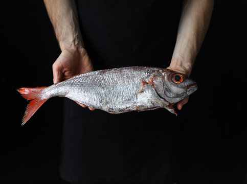 Close up of man's hands holding raw fish