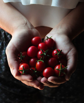 From above ripe small cherry tomatoes with green stems in hands