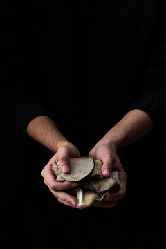 Close up of man's hand holding mushrooms