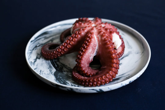Close up of octopus on plate