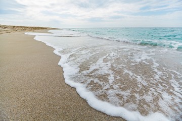 Wave of the Sea on a Beach