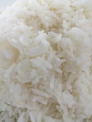 rice on white background