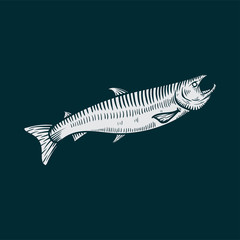 salmon fish hand drawn illustration