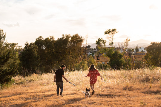 Back view of of cheerful couple running with small friendly dog among yellow grass in park
