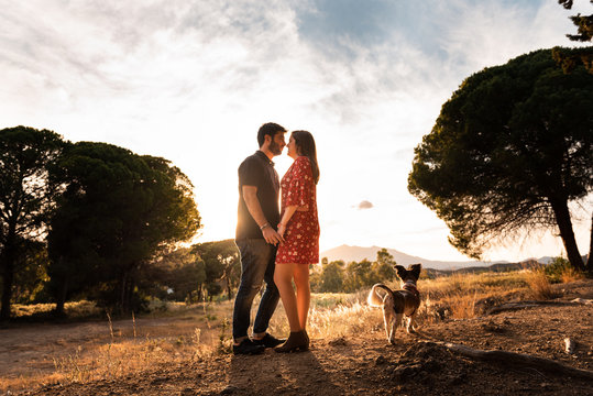 Side view of couple looking at each other with a little dog among high grass in countryside