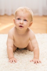 Portrait of a Cute Baby Crawling