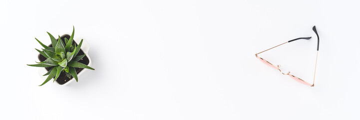 Women’s sunglasses and succulent on white background