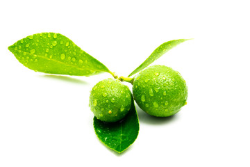 Green Lime isolate on white background