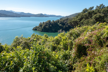 Stunning Marlborough Sounds landscape scenery in New Zealand