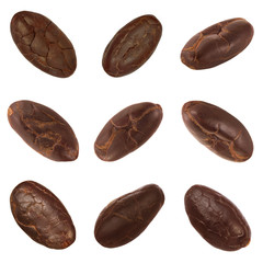 set of cacao beans isolated on white background