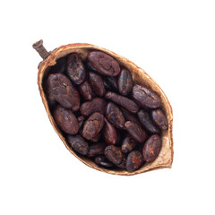 half of dried cacao pod with cacao beans isolated on white background. top view