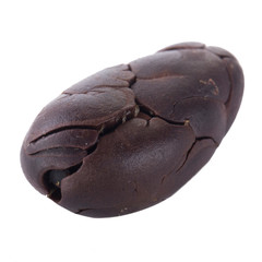 single dried cacao bean isolated on white background