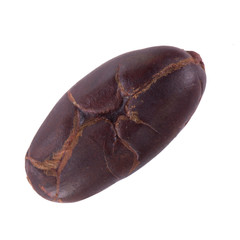 single dried cacao bean isolated on white background
