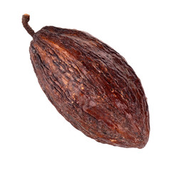 cacao pod isolated on white