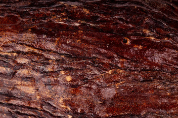 dried cacao pod background