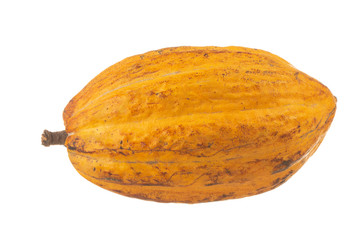 fresh yellow cacao pod isolated on white background