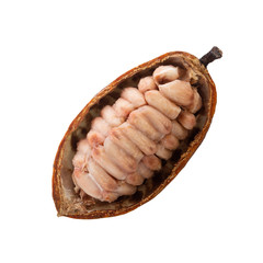 half of cacao pod with cacao beans isolated on white background. top view