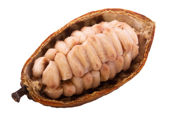 half of cacao pod with cacao beans isolated on white background