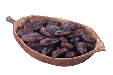 dried cacao pod half  with shelled cacao beans isoalted on white