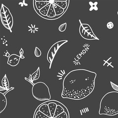 Fruits hand drawn seamless pattern. Lemons texture. Healthy and fresh food black background with white outline elements. For wrapping paper, kitchen and bedroom textile, wallpaper design and scrapbook