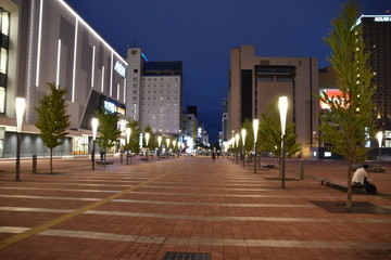 Obraz premium Night view of Asahikawa City in Hokkaido, Japan