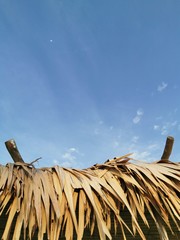 bamboo, background, forest, japan, nature, texture, green, natural, zen, garden, asia, plant, wood, growth, japanese, fence, tree, asian, tropical, culture, material, gardening, old, brown, branch, pa