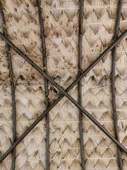 bamboo, background, forest, japan, nature, texture, green, natural, zen, garden, asia, plant, wood, growth, japanese, fence, tree, asian, tropical, culture, material, gardening, old, brown, branch, pa