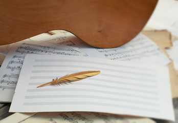 musical conceptual composition of wooden gi macaw, a symbol of the golden birds of a feather lying...