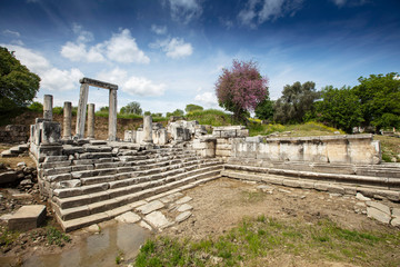  Lagina Hekate Antique City is located within the borders of Turgut town of Yatağan district of Muğla.