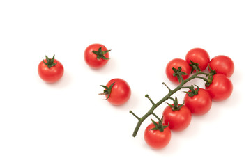 tomatoes on branch isolated on white