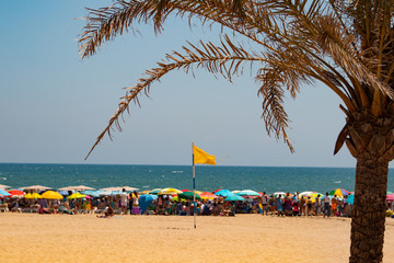 beach with chairs and umbrellas summertime-Gandia-Spain