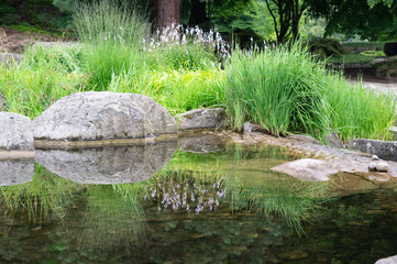 hamburg japanese garden pool pond reflections in water