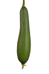 One zucchini or courgettes isolated on white background. Sharp and high resolution image.