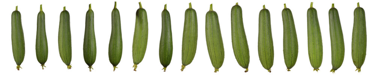 Seamless pattern Cut, Divided into pieces of green zucchini, Leaf chainor, Dry zucchini or courgettes isolated on white background. The collection of zucchini. High resolution image.