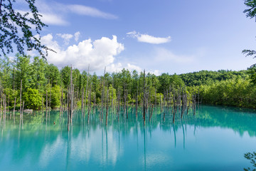 北海道の青い池