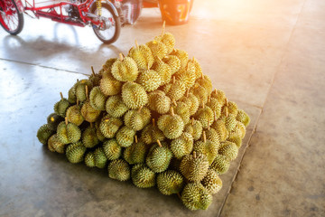 Durian fruit arrange together for sale to market in Thailand.