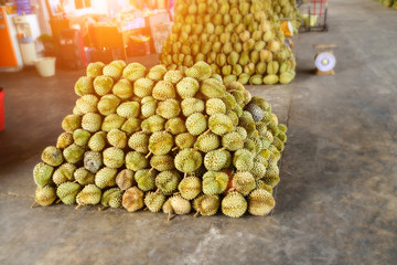 Durian fruit arrange together for sale to market in Thailand.