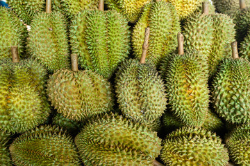 Durian fruit arrange together for sale to market in Thailand.