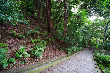 ◉Landscape of Iwashimizu Hachimangu◉