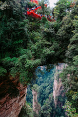 China travel, Wulingyuan, Zhangjiajie natural park, Avatar mountains